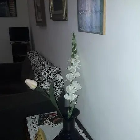 شقة Jade فلورنس