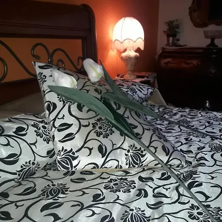 Jade شقة فلورنس